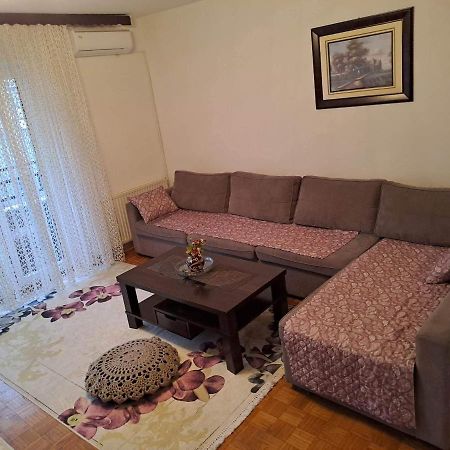 Stan U Sarajevu Na Ilidzi Apartment Sarajevo Bagian luar foto